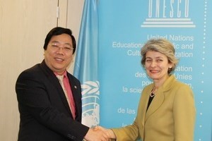 Vietnam : Un membre actif du conseil exécutif de l’Unesco - ảnh 1